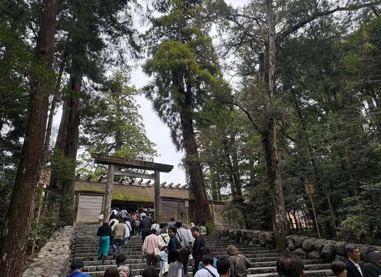 Picture 12 for Activity Ise Private Tour: Sacred Shrines, Pilgrimage & Nature 3
