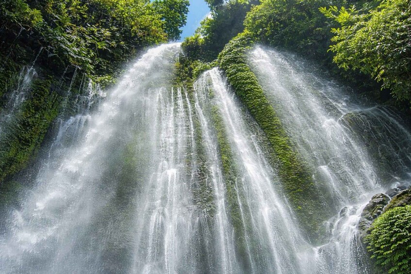 Une cascade d’eau se précipite le long de rochers couverts de mousse, au milieu d’une végétation luxuriante. 2