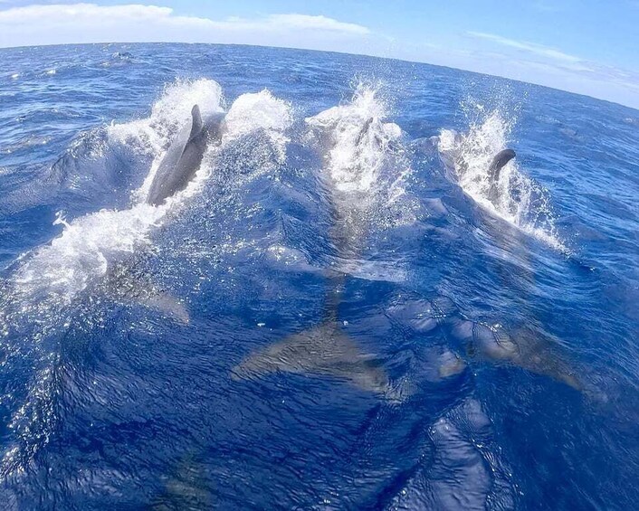 Picture 5 for Activity Certified Scuba Diving Trip to the Kerama Islands from Naha 5
