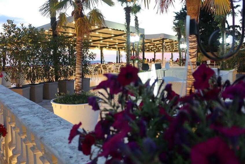 An outdoor seating area with palm trees and potted plants. 3