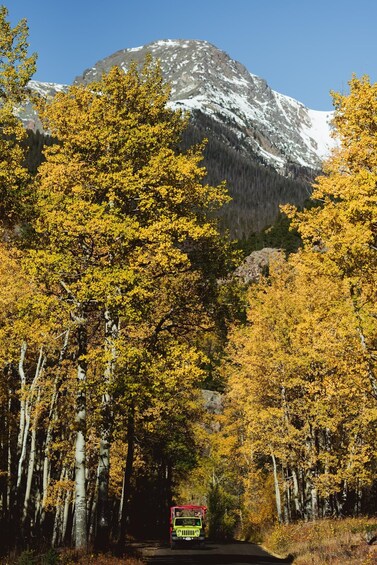 Picture 2 for Activity Estes Park: Rocky Mountain National Park - Grand Lake Tour 3