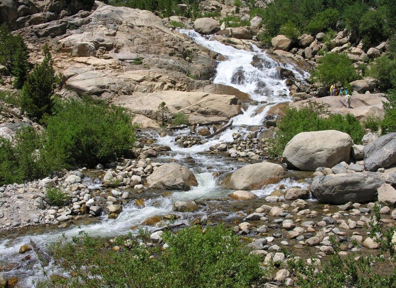 Picture 3 for Activity Estes Park: Rocky Mountain National Park - Grand Lake Tour 2