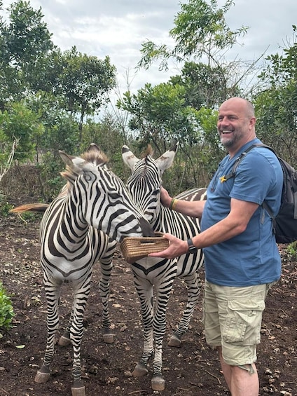 Picture 10 for Activity Zakir Wildlife Park: Feed Giraffes, Zebras & Birds 3