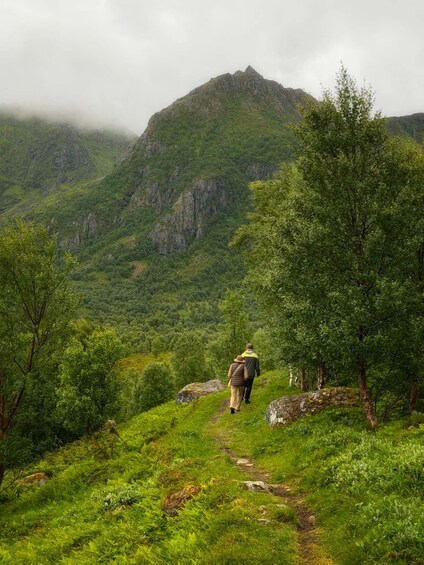 Picture 3 for Activity Hadseløya: Guided Nature Hike and Art Café Experience 4