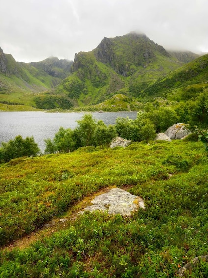 Picture 1 for Activity Hadseløya: Guided Nature Hike and Art Café Experience 5