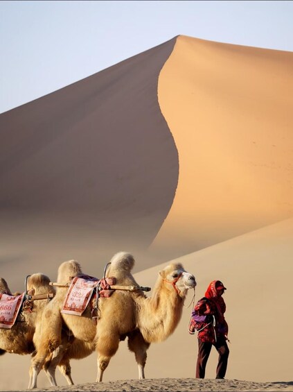 Picture 3 for Activity Yinchuan: Tengger Desert 4WD Tour with Drone Footage 1
