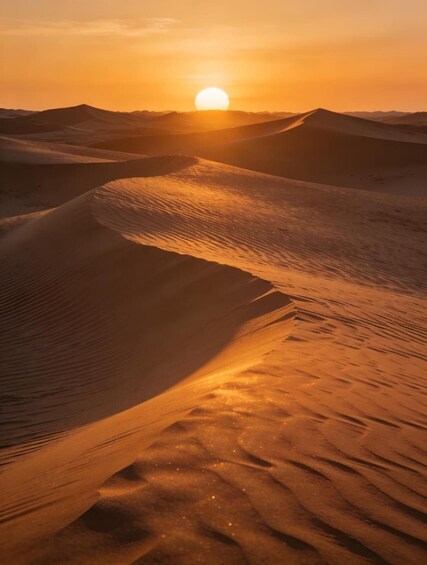 Picture 4 for Activity Yinchuan: Tengger Desert 4WD Tour with Drone Footage 3