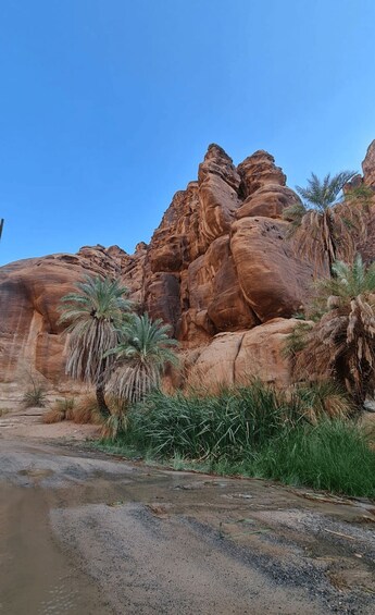 Picture 1 for Activity Tabuk: Al Disah Valley & Alshaq Grand Canyon Tour with Lunch 5