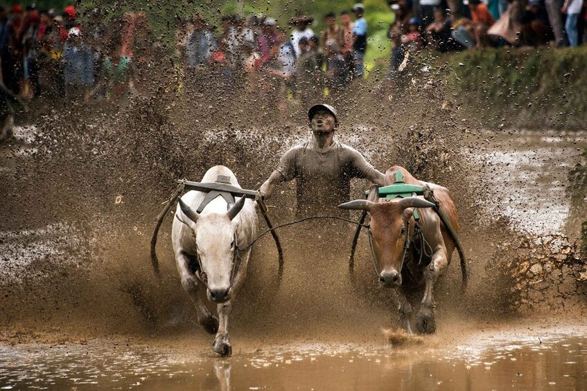 West Sumatra: 2-day cultural highlights & photography tour 1
