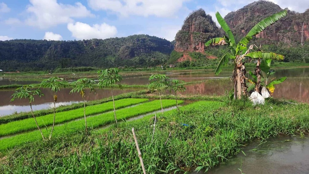 Picture 6 for Activity West Sumatra: 2-day cultural highlights & photography tour 5
