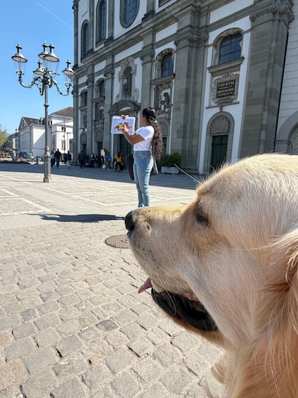 Un perro golden retriever con la lengua afuera, una persona sosteniendo una foto, y un edificio histórico con arquitectura ornamentada al fondo. 4