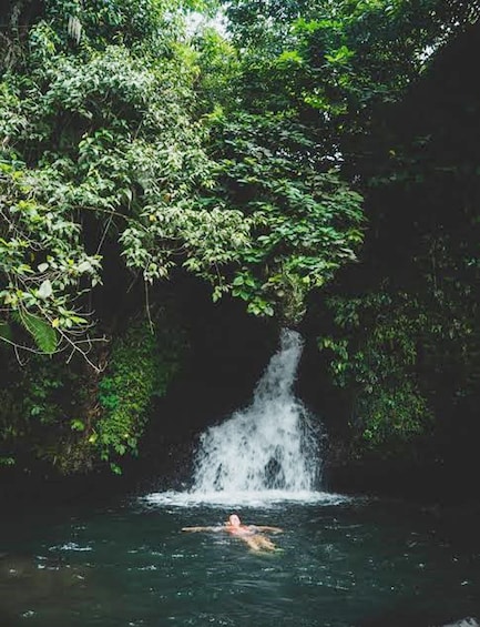 Picture 2 for Activity East Lombok: Jungle Trek, Waterfalls, and Black Monkeys 2