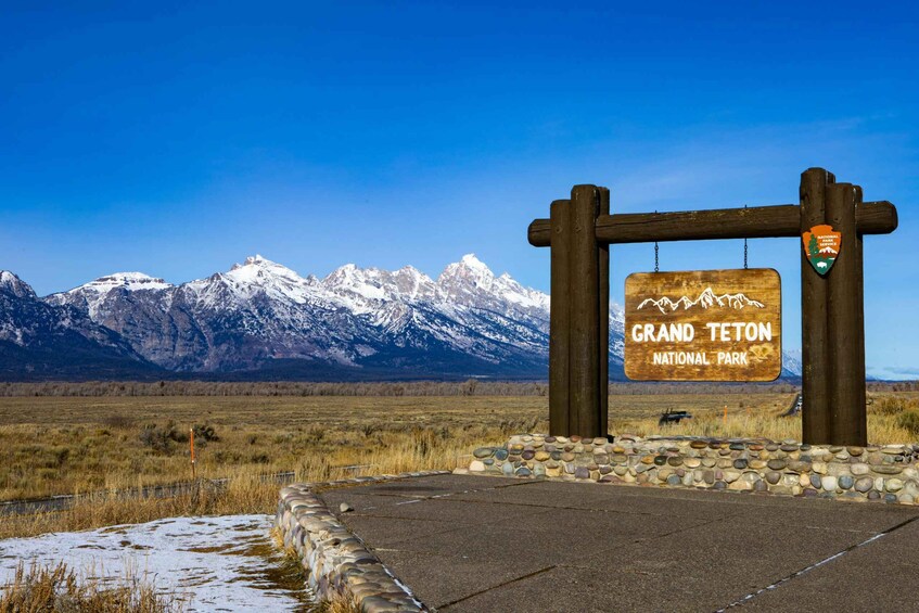 Grand Teton: Sunrise Grand Teton Wildlife Adventure 1