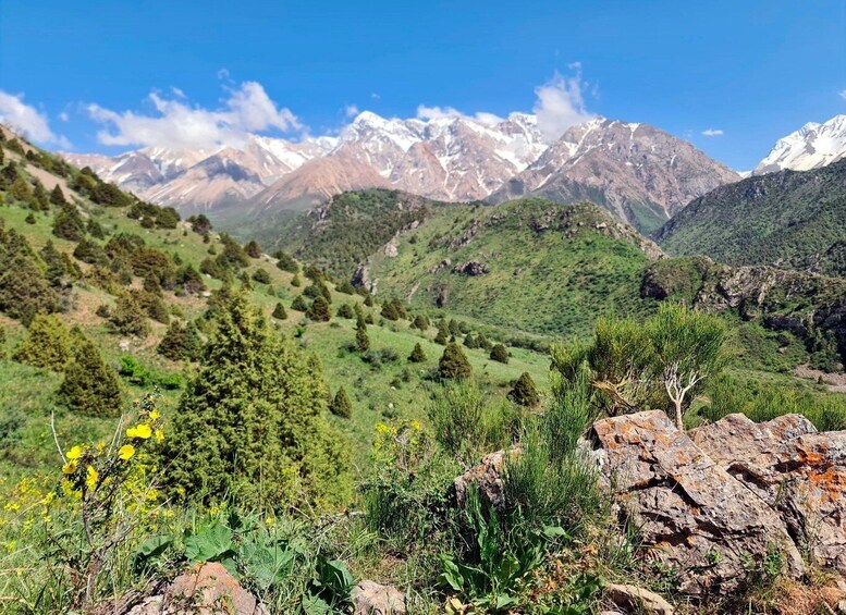 Picture 1 for Activity From Shymkent: Aksu Canyon & Tian Shan Mountains Day Trip 3