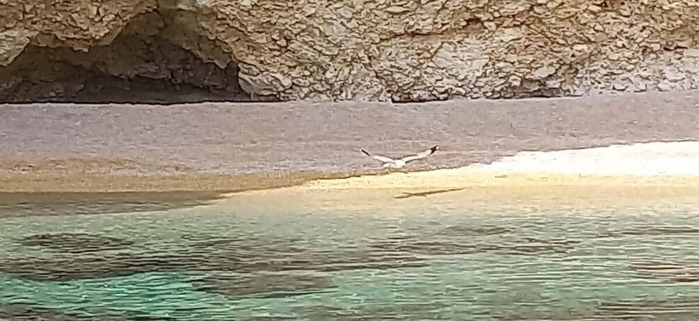 Picture 6 for Activity Punat Golden Excursions Krk and Nearby Islands Full-Day Tour 4