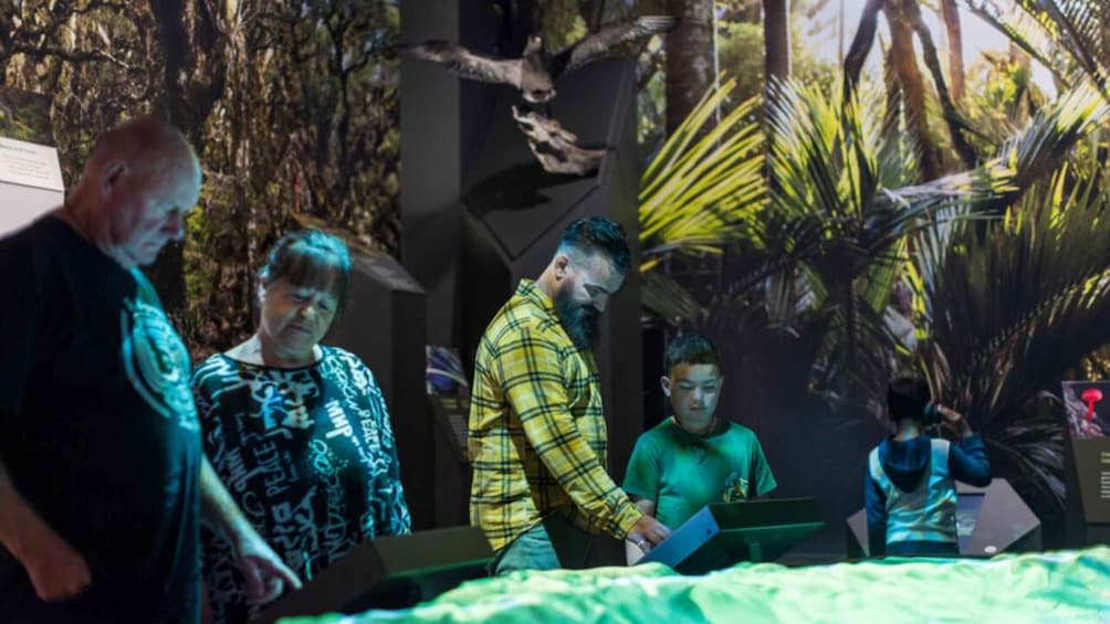 Punakaiki West Coast: Paparoa Experience Entry Ticket 1