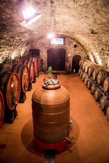 Picture 12 for Activity Chianti Classico: Olive Grove Tour with Oil Tasting & Lunch 3