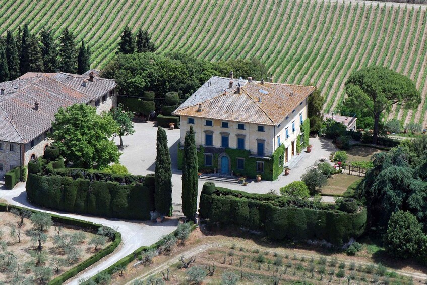 Chianti Classico: Olive Grove Tour with Oil Tasting & Lunch 1
