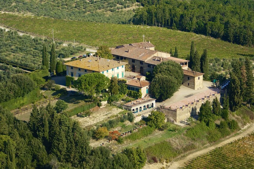 Picture 9 for Activity Chianti Classico: Olive Grove Tour with Oil Tasting & Lunch 4