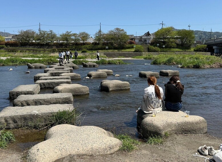 Picture 4 for Activity Cycle Hidden Kyoto: Canals, Zen Temple & Kamo River 4