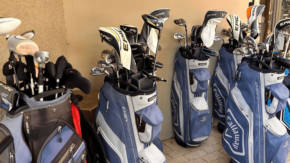 Picture 6 for Activity Kruger National Park: 4-Day Safari and Golf Experience 3