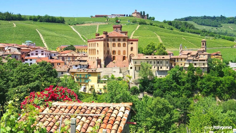 Barolo Private Tour: Wine Culture and Langhe Views 1