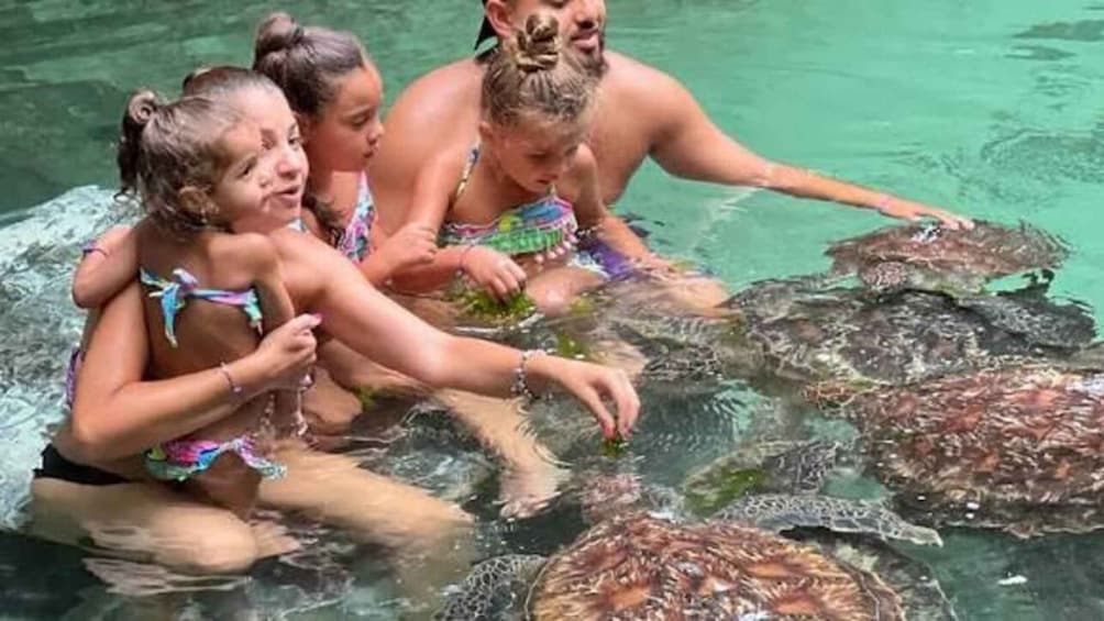 Picture 5 for Activity Zanzibar: Swim With Sea Turtles at Baraka Aquarium Nungwi 2