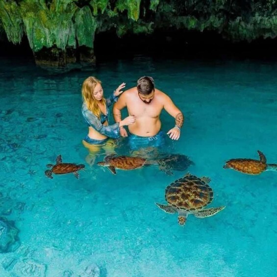 A man and a woman in a clear blue pool with sea turtles swimming around them. 4