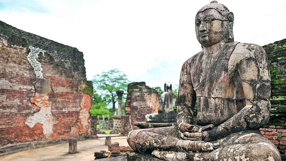From Trincomalee: Polonnaruwa Ancient Kingdom Day Trip 1