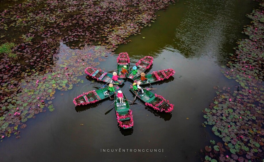 A group of canoes arranged in a circular pattern on a pond surrounded by lily pads. 5