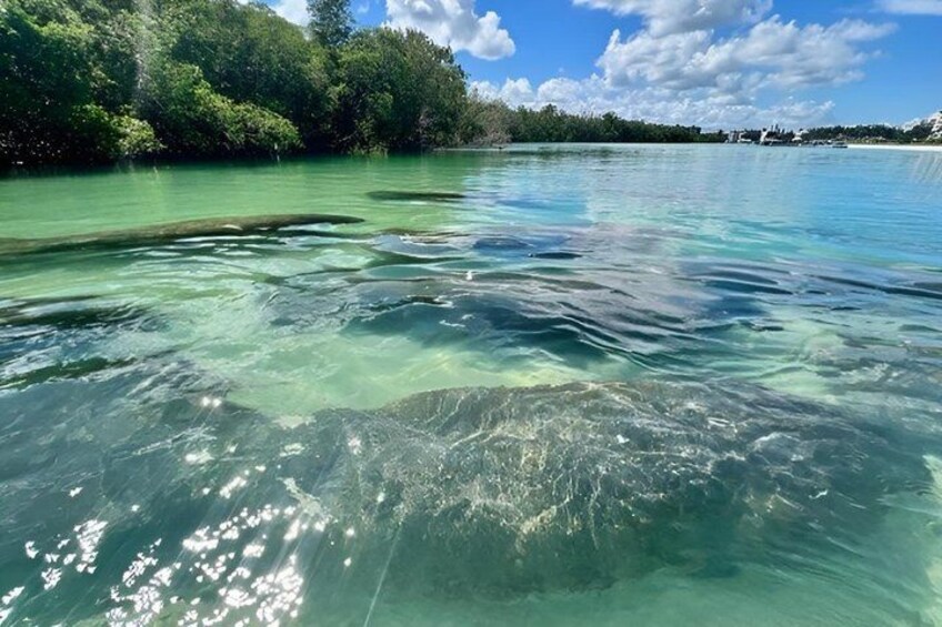 Clear turquoise water, a sandy beach, and dense green foliage. 4