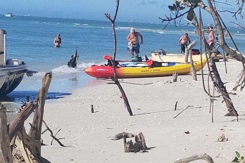 2.5hr shelling and dolphin kayak tour 2