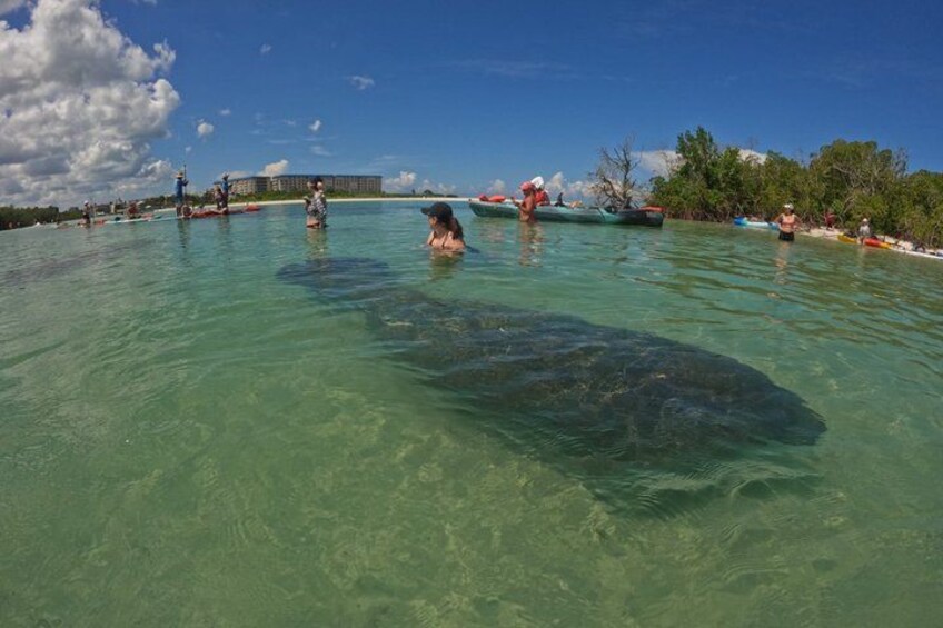 A clear turquoise sea with people kayaking and snorkeling. 2