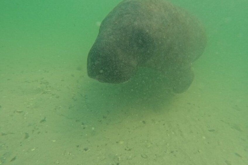 An underwater scene with a large rock and a sandy bottom. 3
