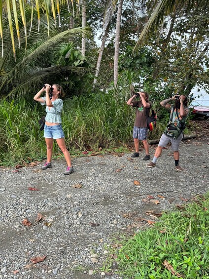 Four people using binoculars in a natural setting with dense foliage and a gravel path. 2