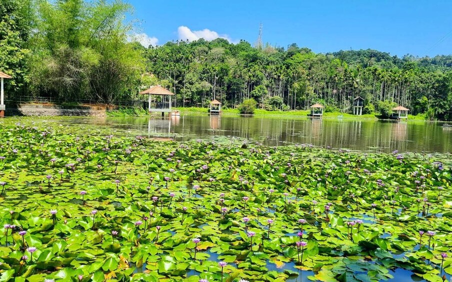 Picture 3 for Activity Malabar Wildlife & Karlad Lake Day Trip from Mysore 4