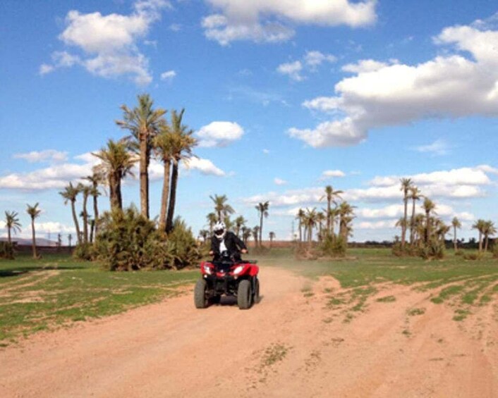 Picture 2 for Activity Ouargla: Sahara Desert Quad Bike Adventure with Guide 3