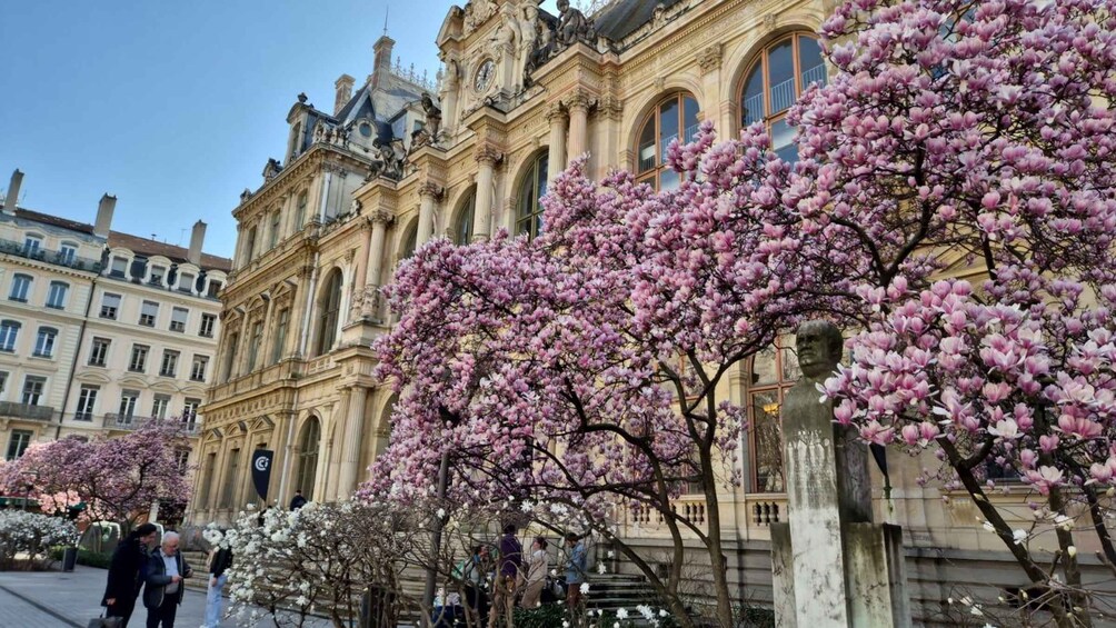 Picture 3 for Activity Lyon: City Market Tour and Picnic 3