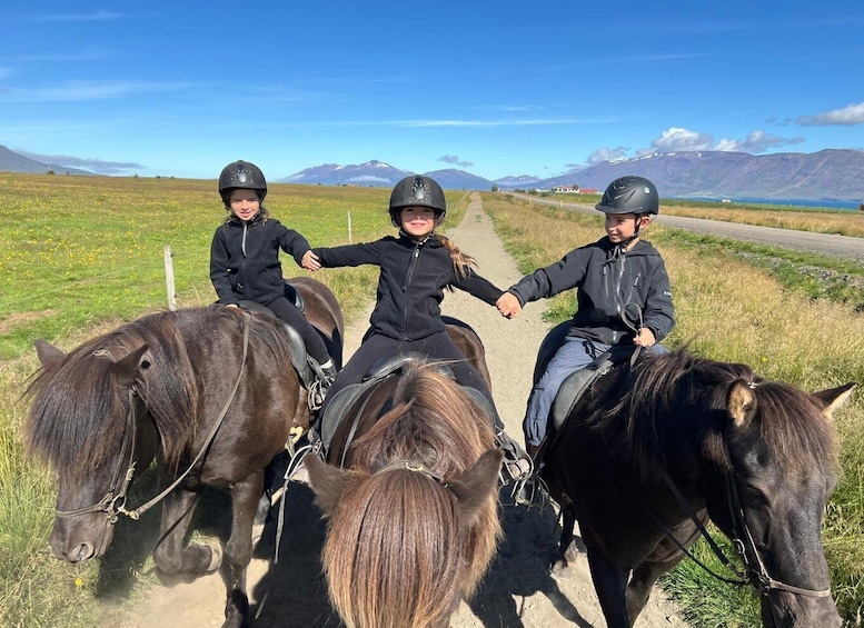 Picture 1 for Activity Akureyri: Icelandic Horseback Riding Tour with Photos 3