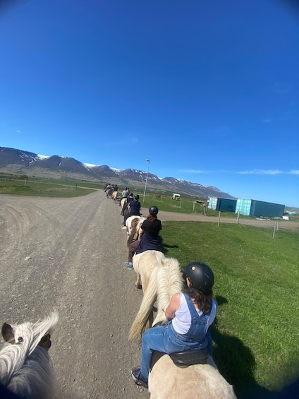 Picture 3 for Activity Akureyri: Icelandic Horseback Riding Tour with Photos 2