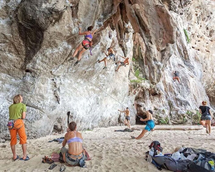 Picture 6 for Activity Krabi: Gravity & Granite - Full-Day Railay Rock Climbing 4