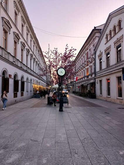A street with buildings, a clock, and cherry blossoms. 2