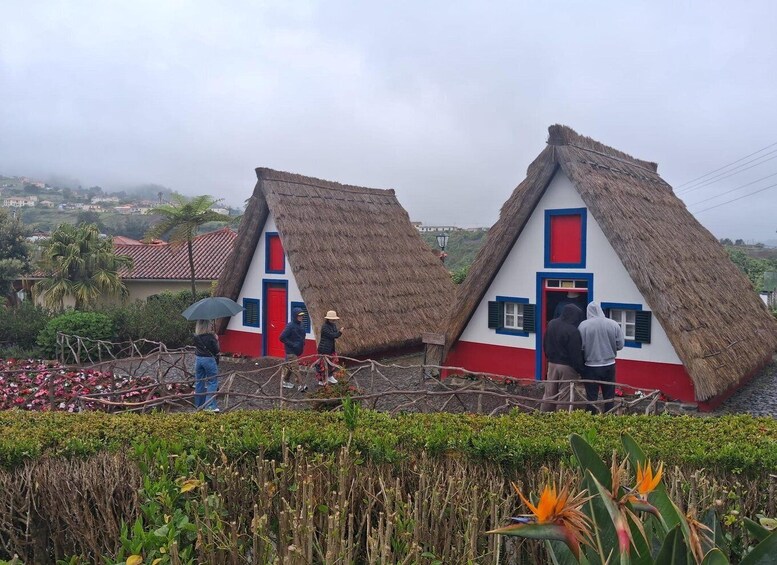 Madeira: Outdoor Cooking Experience with Local Hosts 5