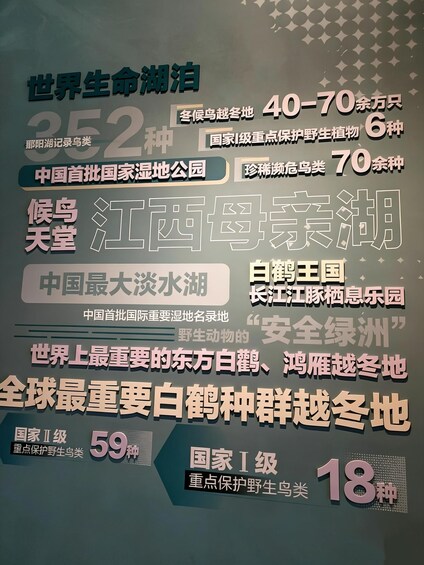 Picture 7 for Activity Nanchang: Jiangxi Museum Guided Tour with Entry Ticket 5
