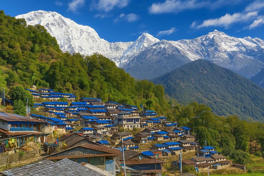 Picture 5 for Activity Pokhara: 5-Day Sikles & Kori Danda Trek with Meals 5