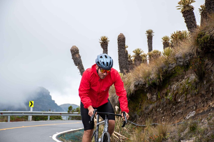 Picture 4 for Activity Colombia: Alto de Letras Express 3-Day Epic Cycling Tour 3