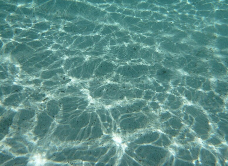 Picture 1 for Activity La Maddalena: Private Beach Tour with 4x4 Vehicle 3