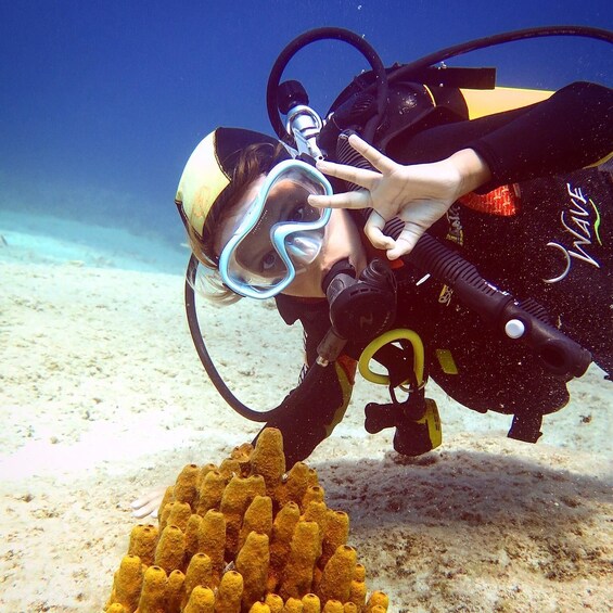 Picture 3 for Activity Amorgos: Try Scuba Diving Experience 3