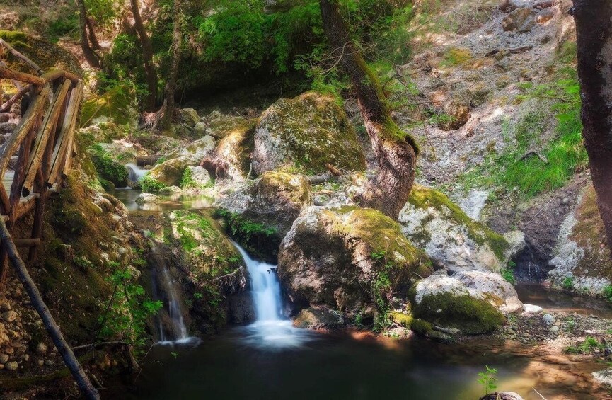 Rhodes: Valley of the Butterflies with out Guide 1