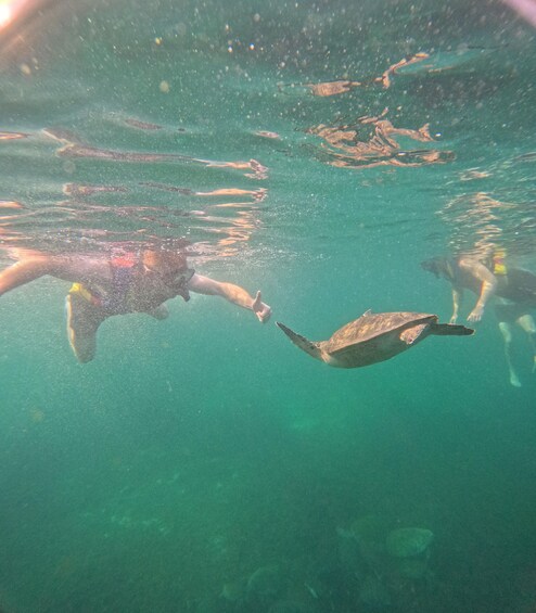 Picture 18 for Activity Muscat: Daymaniyat Islands Boat & Snorkel Trip 2